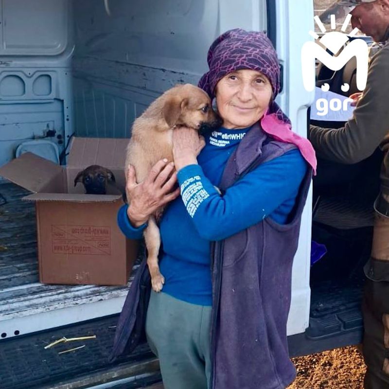 Четыре пёселя уехали из Владикавказского питомника в новые дома