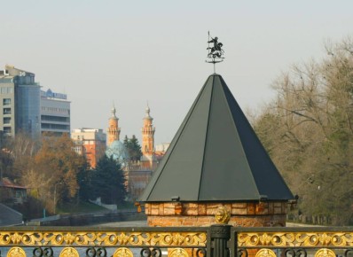 Фото Т. Шеходановой. С добрым утром!