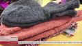 В Ольгинском участницы клуба «Клубок, крючок» вяжут носки для участников СВО