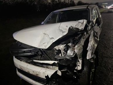 В МВД выясняют обстоятельства ДТП на автодороге «Владикавка-Чикола-Лескен 2» с участием КРС