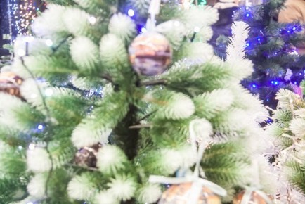 Самые "змеиные" оттенки: в чем встретить Новый год