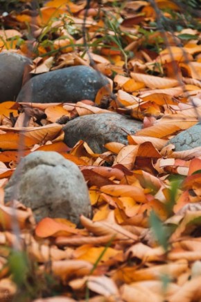 Доброе утро, Владикавказ!. Хорз райсомт уыл цуд!