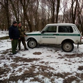 В Северной Осетии усилили охрану хвойных лесов