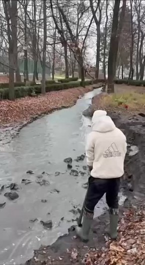 В Центральном парке Владикавказа начались плановые работы по расчистке прудов