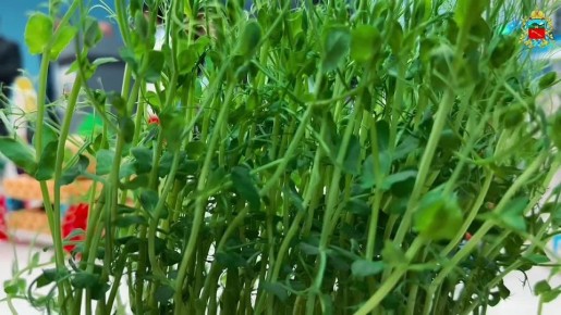 Во Владикавказе открылся межрегиональный образовательный форум с международным участием «Цифровизация образования и современные технологии»