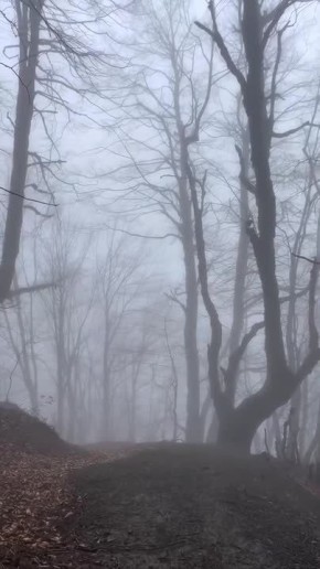 Доброе утро, Осетия!. Во Владикавказе ожидается облачная с погода