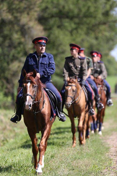 ��� ������ �������� � ����������� ������ �������� ��������?