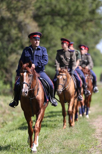 Что думают горожане о возрождении конных казачьих патрулей?