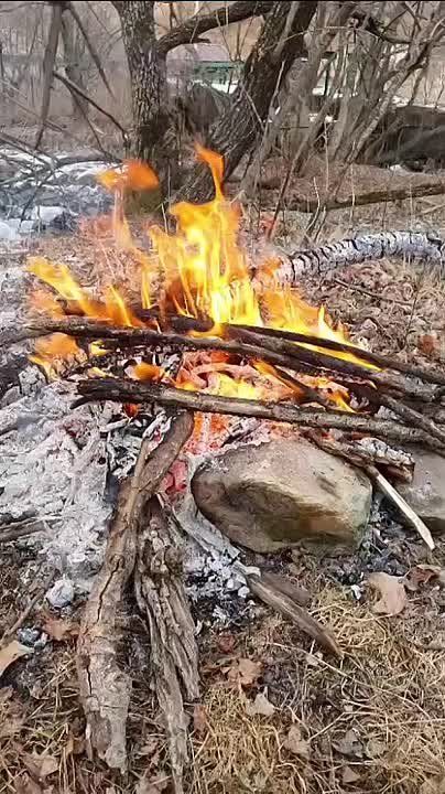 ������ ����, ������!. �� ������������ ��������� �������� ������