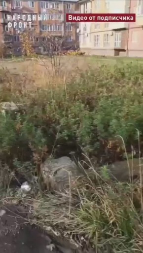 &quot;   &quot;:        2016 