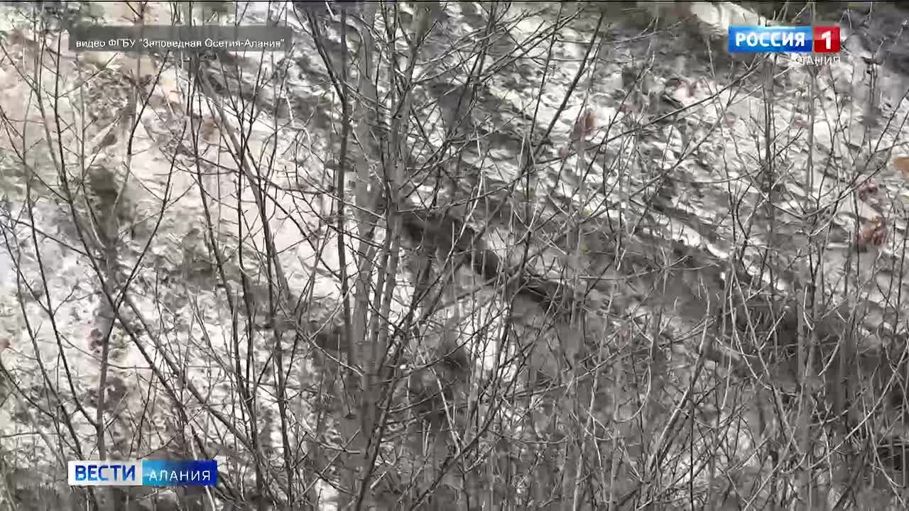 Сегодня во всем мире отмечают Международный день гор