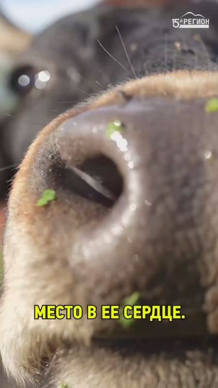 ��� ����� �������� ���� ����� ��� ����