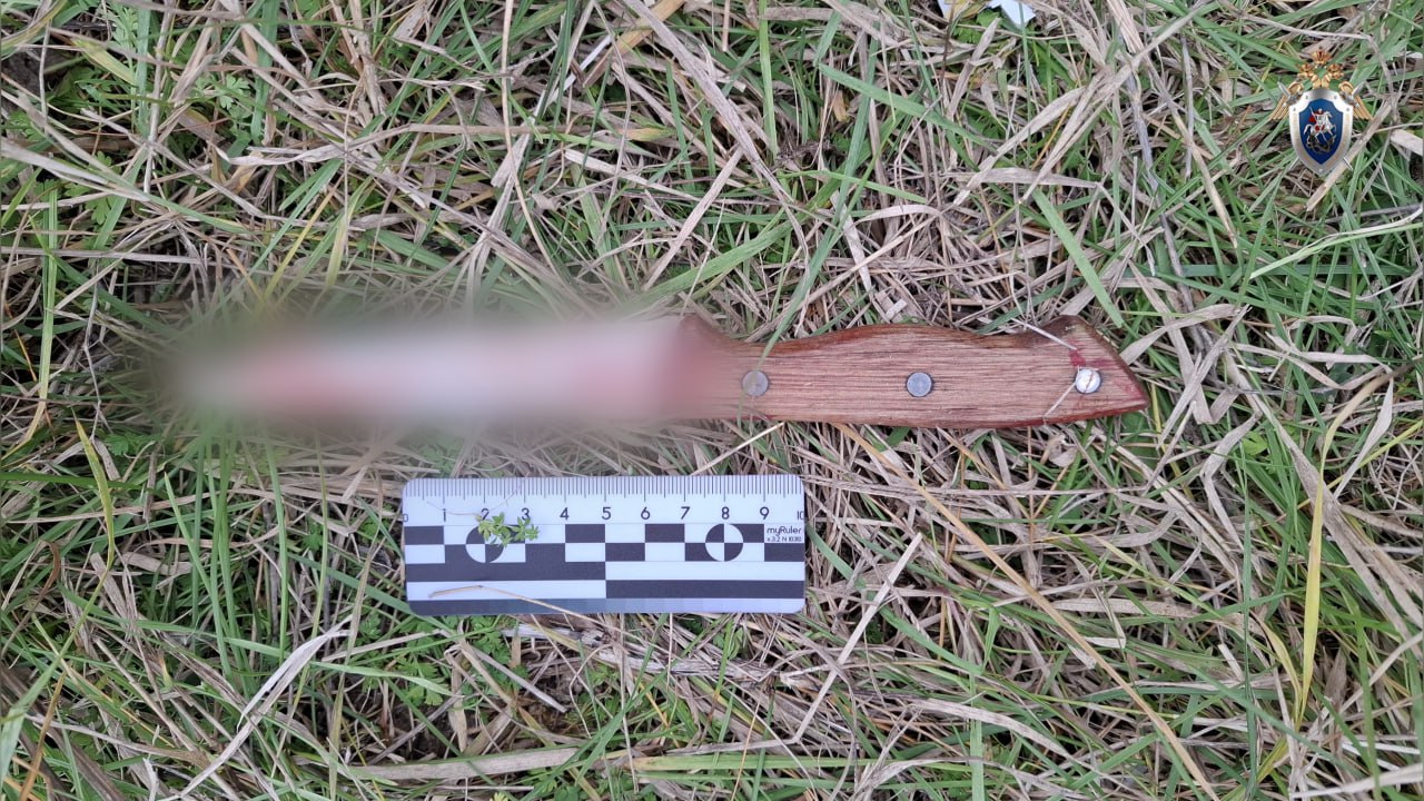 В Моздокском районе местный житель обвиняется в убийстве знакомого