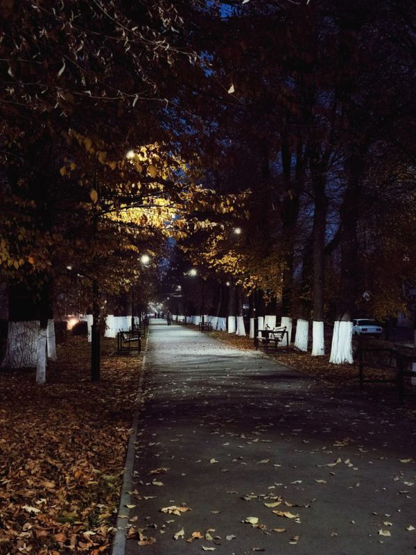 Доброй ночи, Владикавказ!. Хрзхсвт кнут!