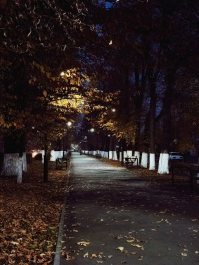 Доброй ночи, Владикавказ!. Хрзхсвт кнут!