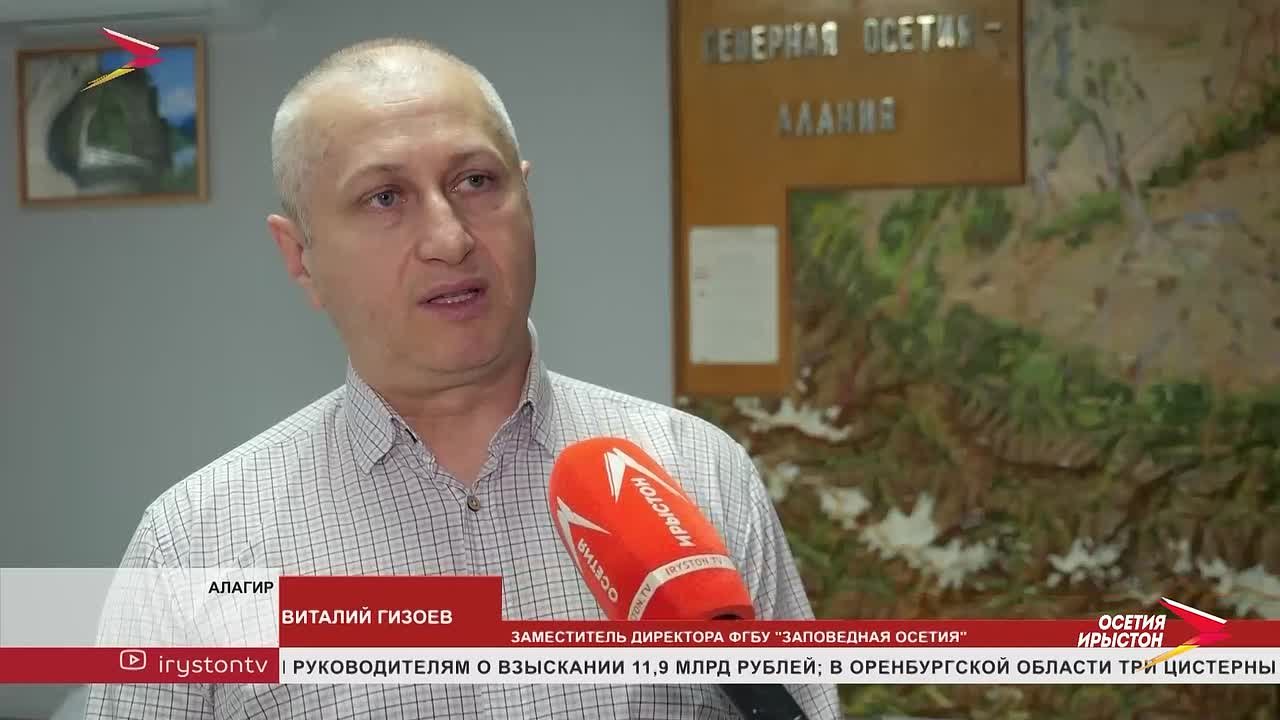 В преддверии Нового года охрана хвойных лесов республики усилилась