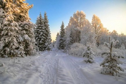 Декабрь — Цыппурсы мй. Н зынаргъ газетксджыт, дарддр у зонг кнм мйты нысаниугим