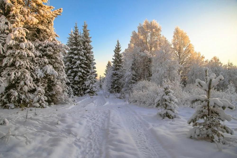 Декабрь — Цыппурсы мй. Н зынаргъ газетксджыт, дарддр у зонг кнм мйты нысаниугим