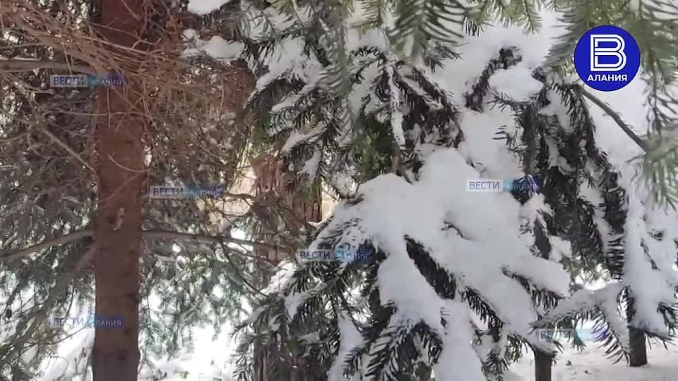 ���� �������� ������� �� �������� � ��������� � ����� ����������