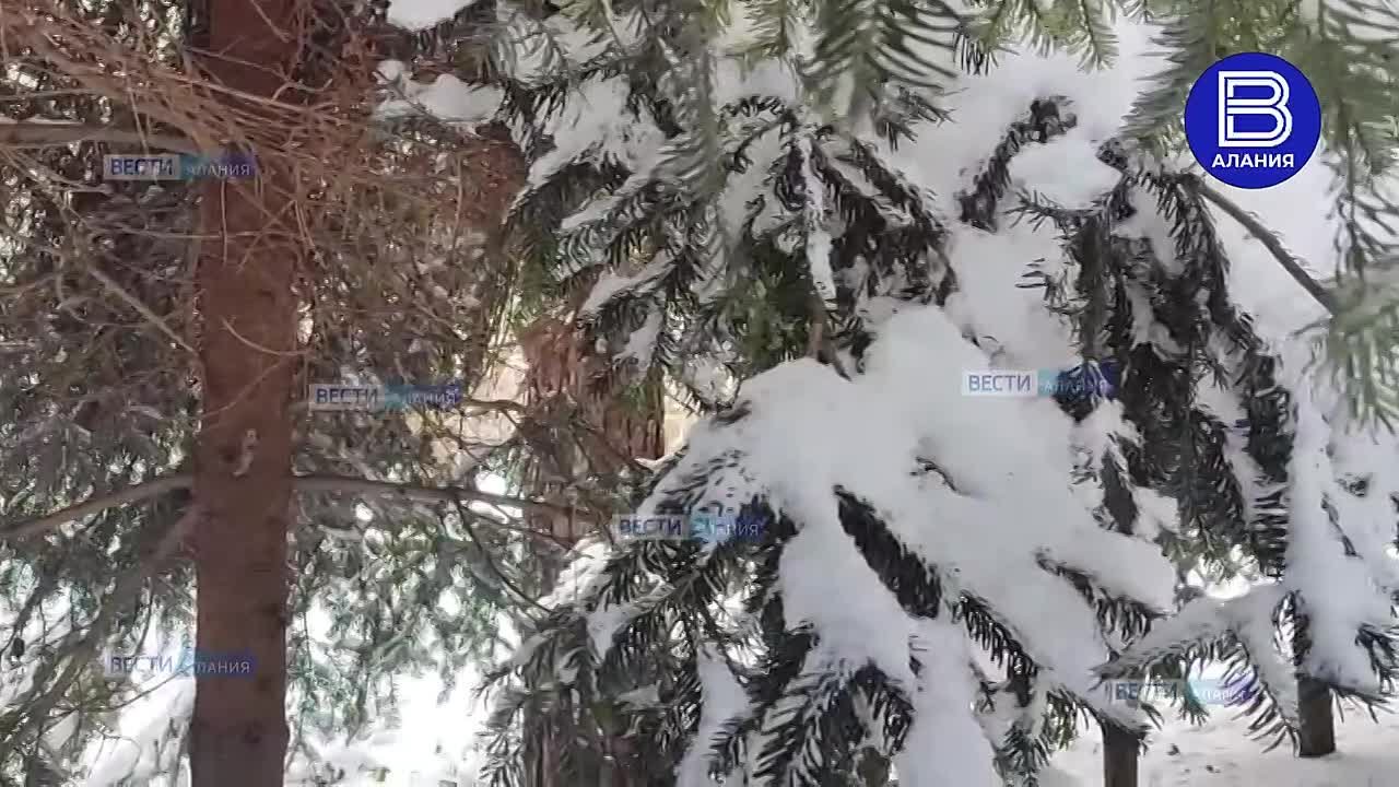 Дети устроили катания на ледянках и ватрушках в парке «Дендрарий»