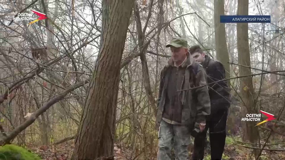 � ���������� ����������� ��� ����� 10 ��� ���������� ����-������� ��� ���������� �� ���������