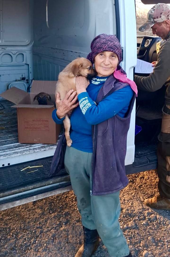 350 бездомных собак обрели новых хозяев