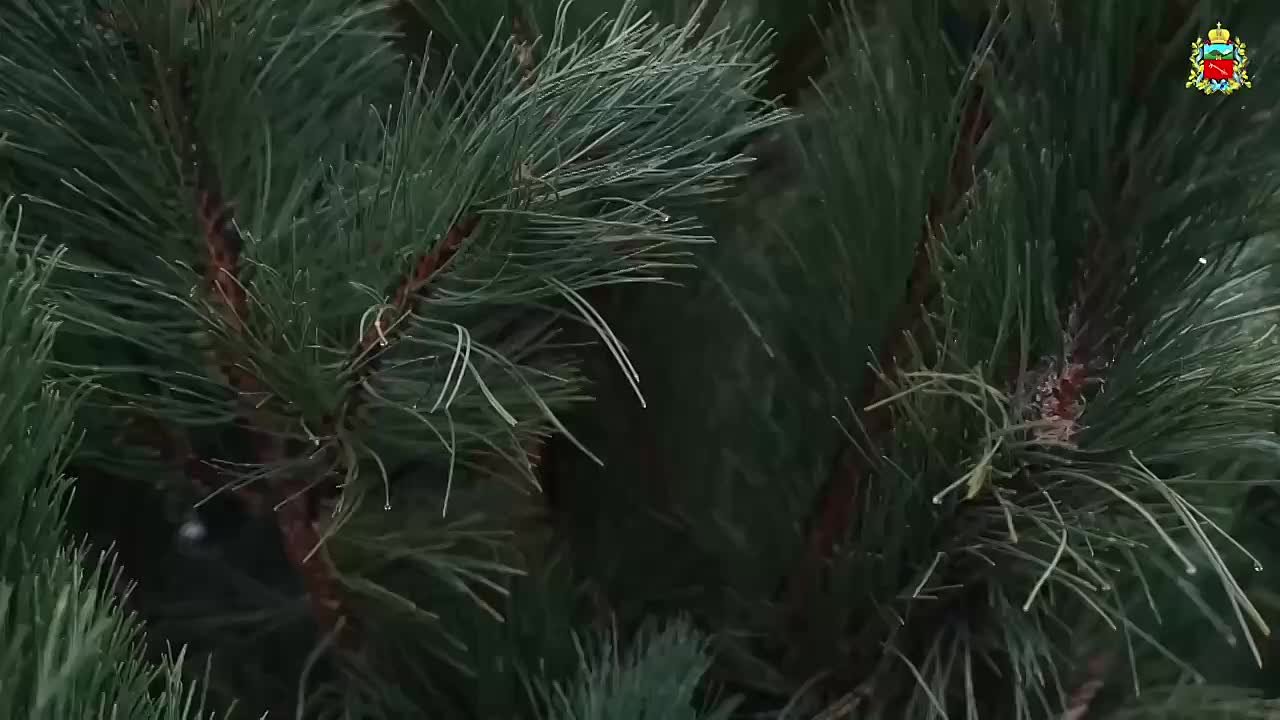 Во Владикавказе открылись новогодние ярмарки