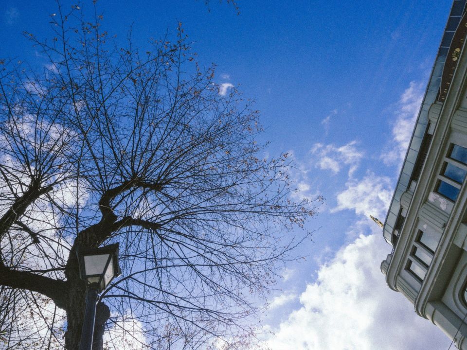 ������ ����, �����������!. ���� ������� ��� ���!