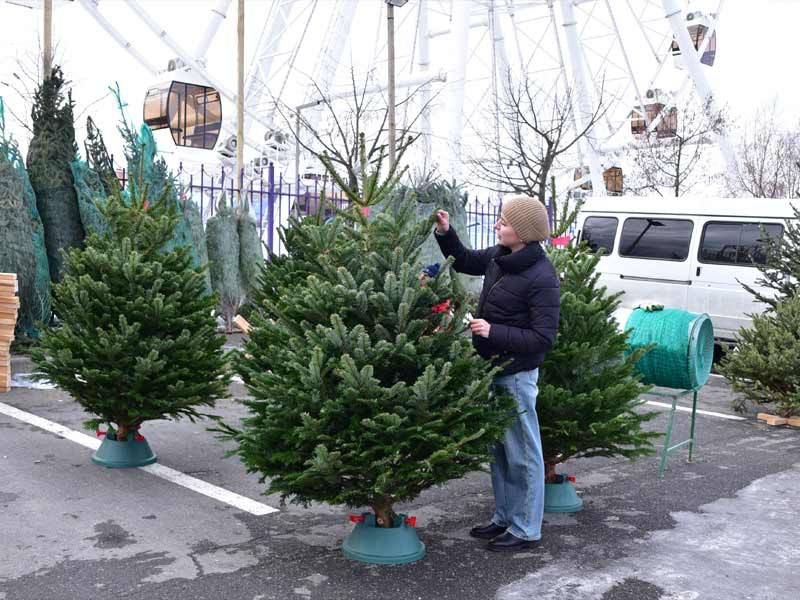 �� ������� ������. ����� ���� ��� � ������ ���� ���� ���������� ������, ���������� ���������, ������������ � ������ ������ ������, ��������� ��������������� ��������� ������� ������� ������, ������� ������� ������ ����...