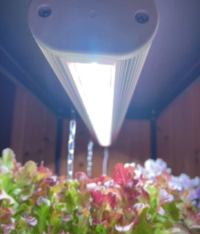 ��� ������� ��������� ��������� ��� ����� ��������