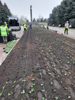 Семена будущей красоты. В столице Северной Осетии официально завершился осенний посадочный сезон
