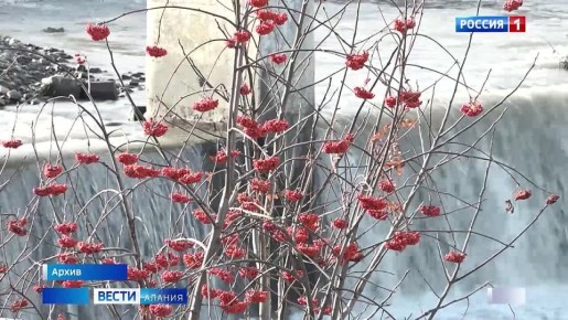 ����������� ������� ����������� �������� "���������� ������" �� �������� "���������� ������� 2027 ����"