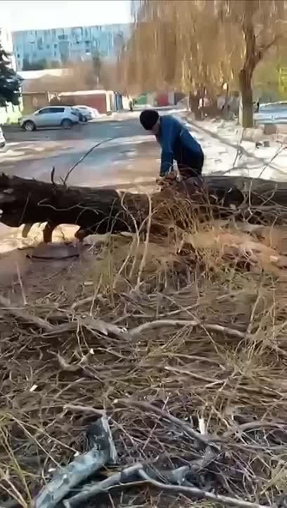 �� ������������ ������������ ������ �� ���������������