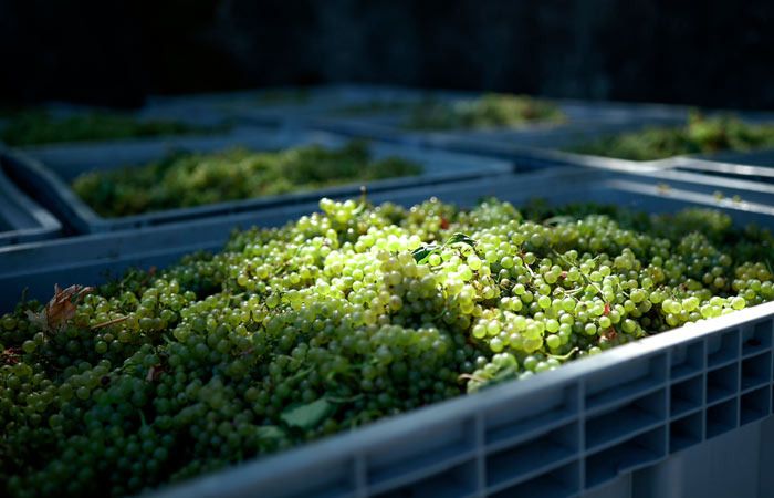 ���������� ������-����� ������������� �������: 26 ����� ���� ������ � 2025 ����