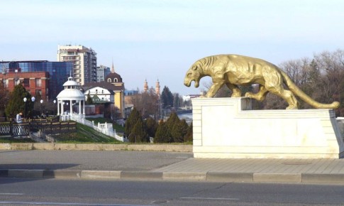 Фото Т. Шеходановой. Не забудьте до Нового года «запустить» в память доброго дворника