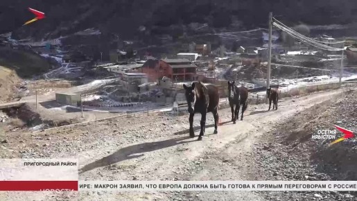 � �������� ������ �������� ����� �����