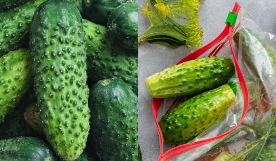 ������� �������� �������: ��� ��������� �������� �� ������ �����