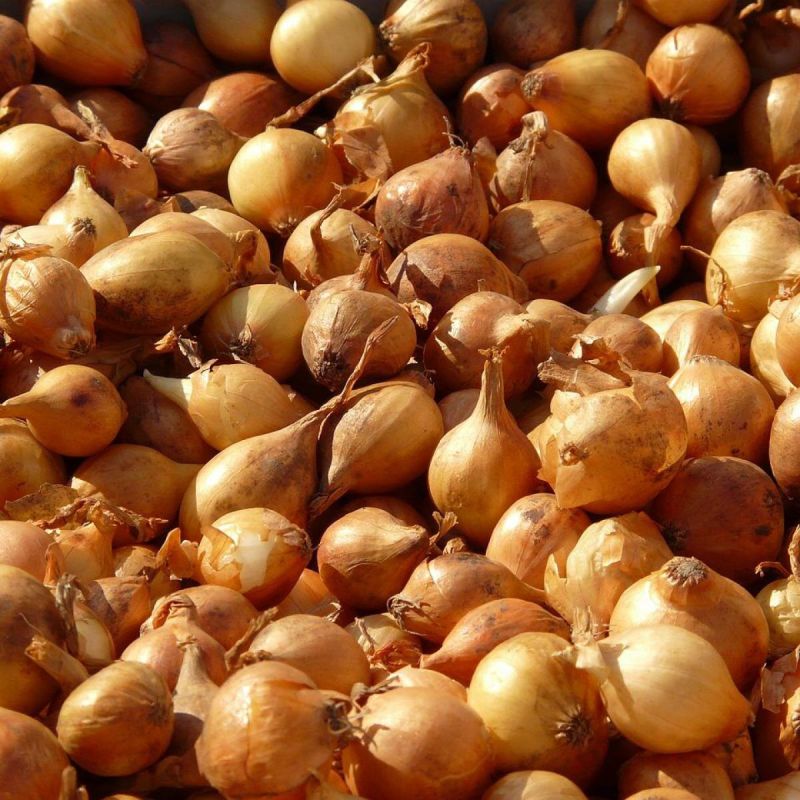 ������� �������: ��� ��������� ������� ���, �������� ��������