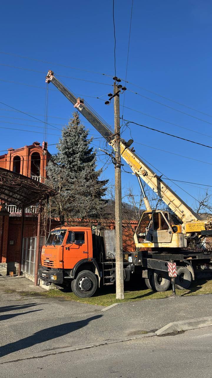 15-метровую голубую ель установят на площади Свободы 15-метровую голубую ель установят на площади Свободы