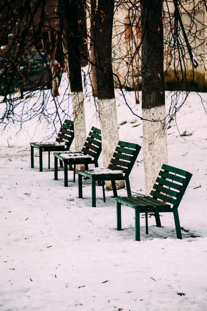 Улица Васо Абаева во Владикавказе образовалась в начале XX века Улица Васо Абаева во Владикавказе образовалась в начале XX века
