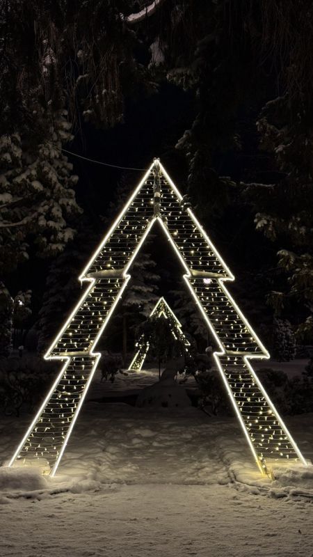 ������ ����, �����������!. ���� ���� � ���!