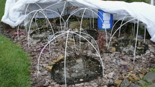 ��� �������� ���� � �������� �� ������ �������