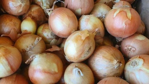 ��� ������, ����� ��� �� ������ � ������: ������ ������ ������