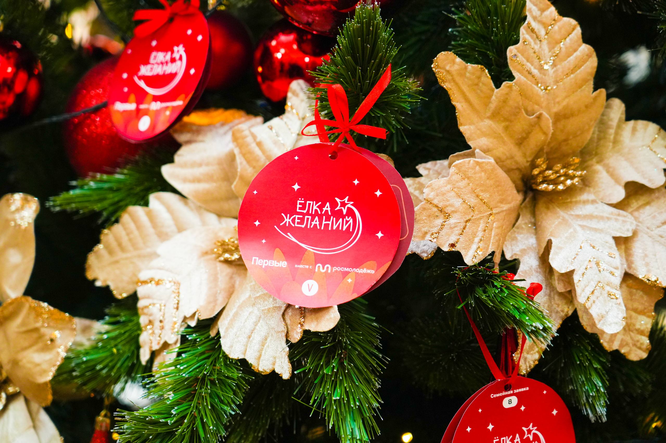 Глава РСО – Алания Сергей Меняйло дал старт ежегодной Всероссийской акции «Елка желаний» Глава РСО – Алания Сергей Меняйло дал старт ежегодной Всероссийской акции «Елка желаний»