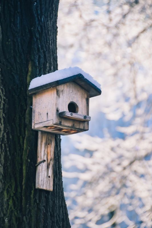 ������ ����, �����������!�