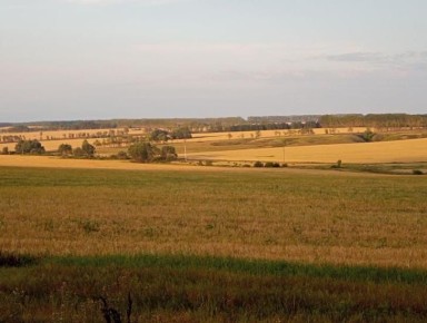 ������ �� ���� � ��������� �������: ����� ����� � ���� � ������ ��������