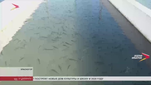 � �������� ������ ������������ ������ ������� ����������� � �� ��������� ���� ����� ���������