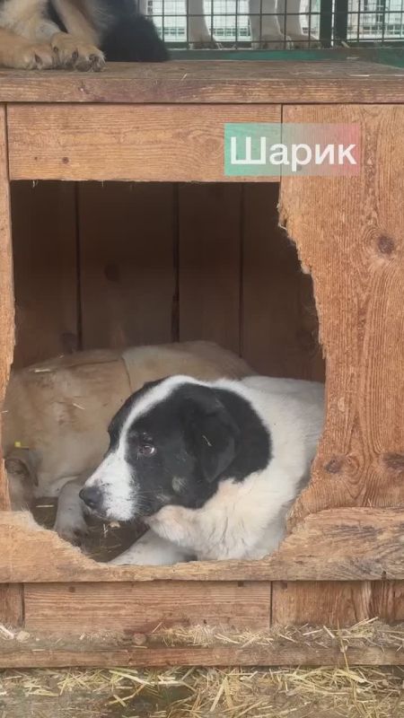 ����� �������������� ������������