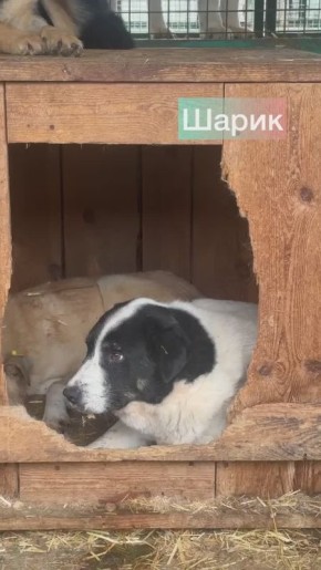 ����� �������������� ������������