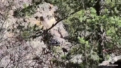 ������ ������� ��������� ����������� � ��������� ��� ������ � ���������������� ����������